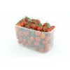 Punnet 115x190x105 mm