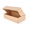 Cardboard box with hinged lid 