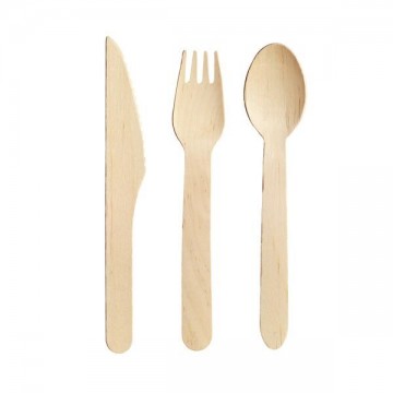 Disposable eco-friendly tableware of wood
